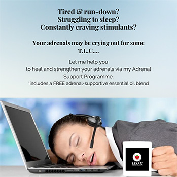Adrenal Support Programme