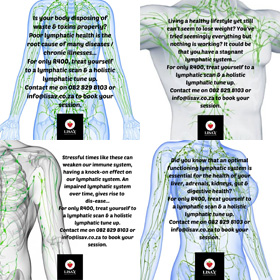 Lymphatic Support Programme